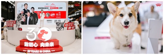 云图片